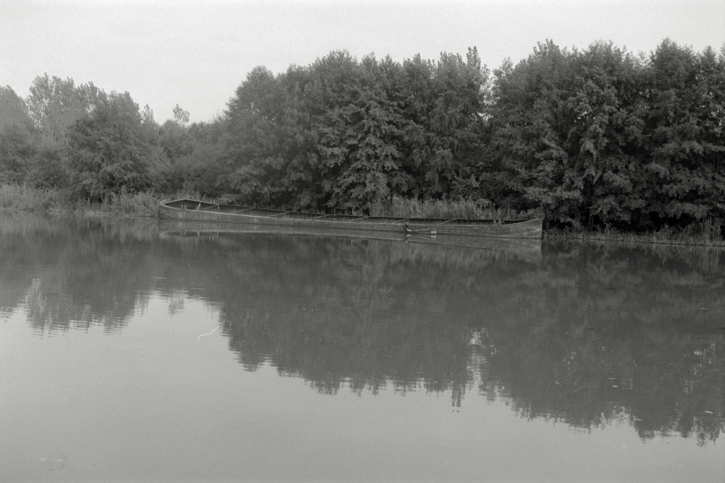 AHP F1990 09 004 sc250506 img03 NLP